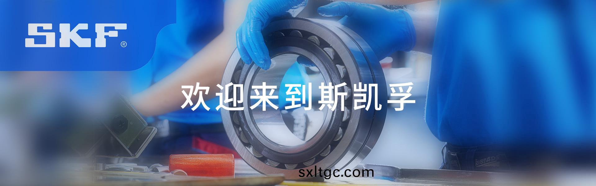上海嘉盛轴承有限公司